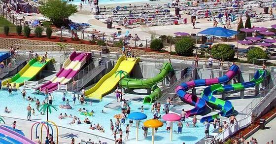 Kids Slide Group - Multi-Lane Fiberglass Water Slides with Low Platform and Non-Slip Steps for Safe Play